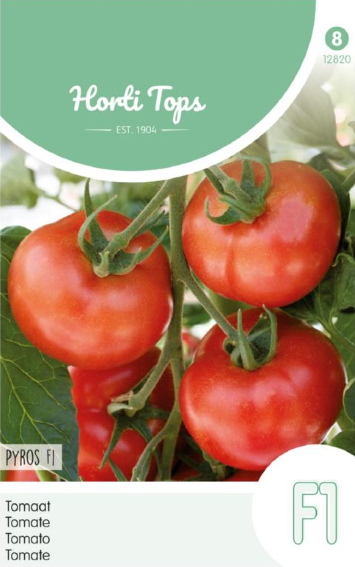 Tomato Pyros F1 (Solanum) 25 seeds HT